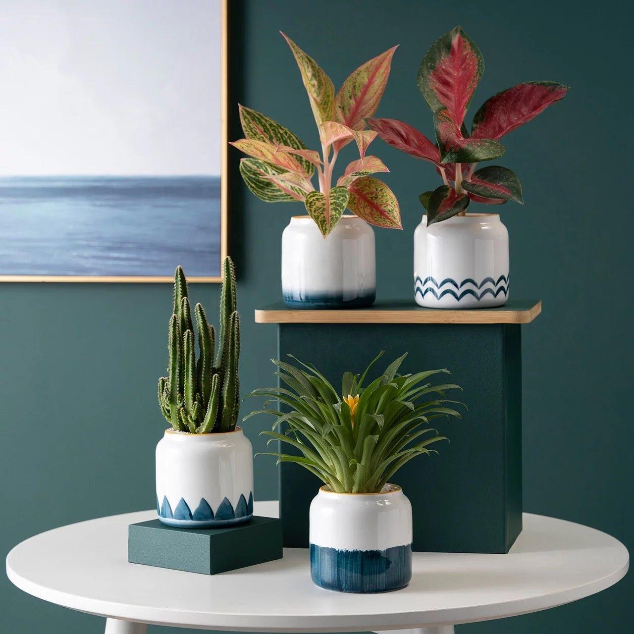 Hand Painted Succulent Ceramic Desk Pots