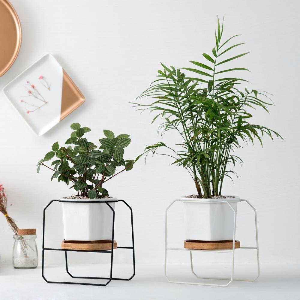 Hexagon porcelain desk pot with bamboo catch and Iron stand