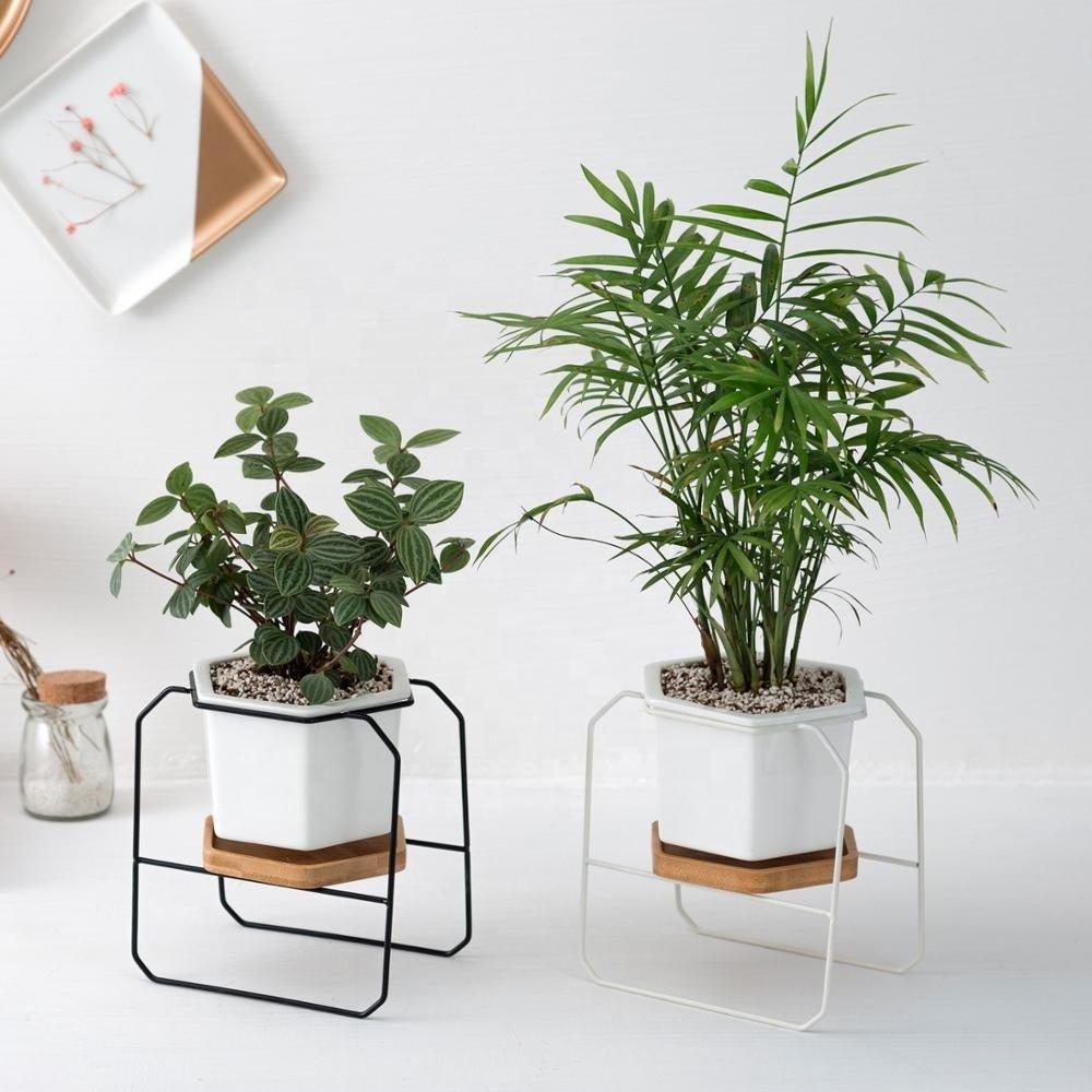 Hexagon porcelain desk pot with bamboo catch and Iron stand