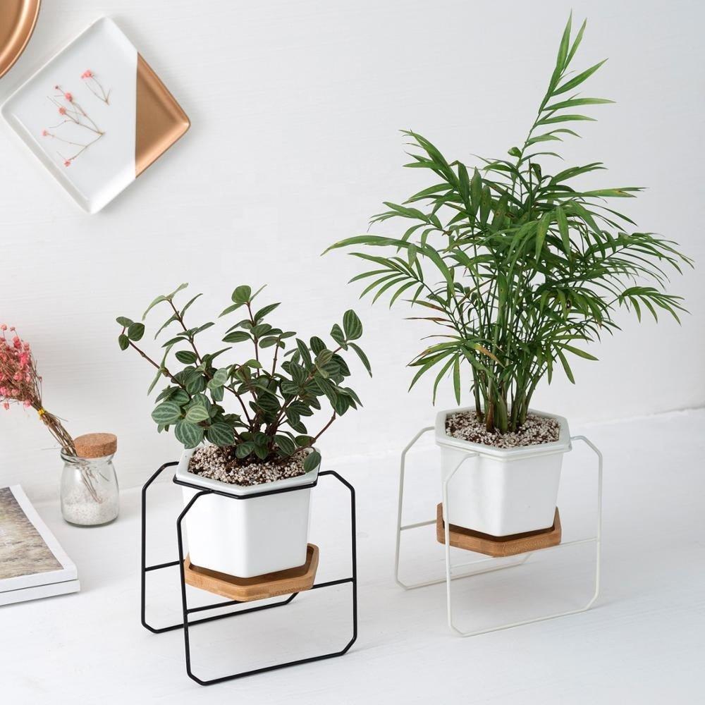 Hexagon porcelain desk pot with bamboo catch and Iron stand