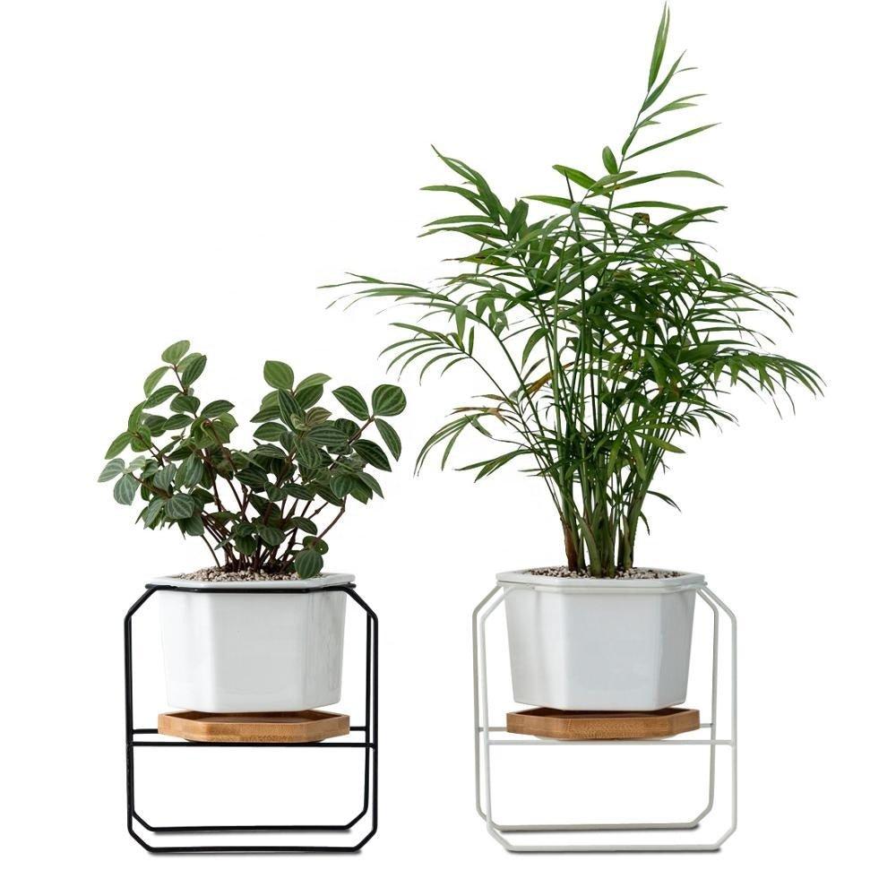 Hexagon porcelain desk pot with bamboo catch and Iron stand