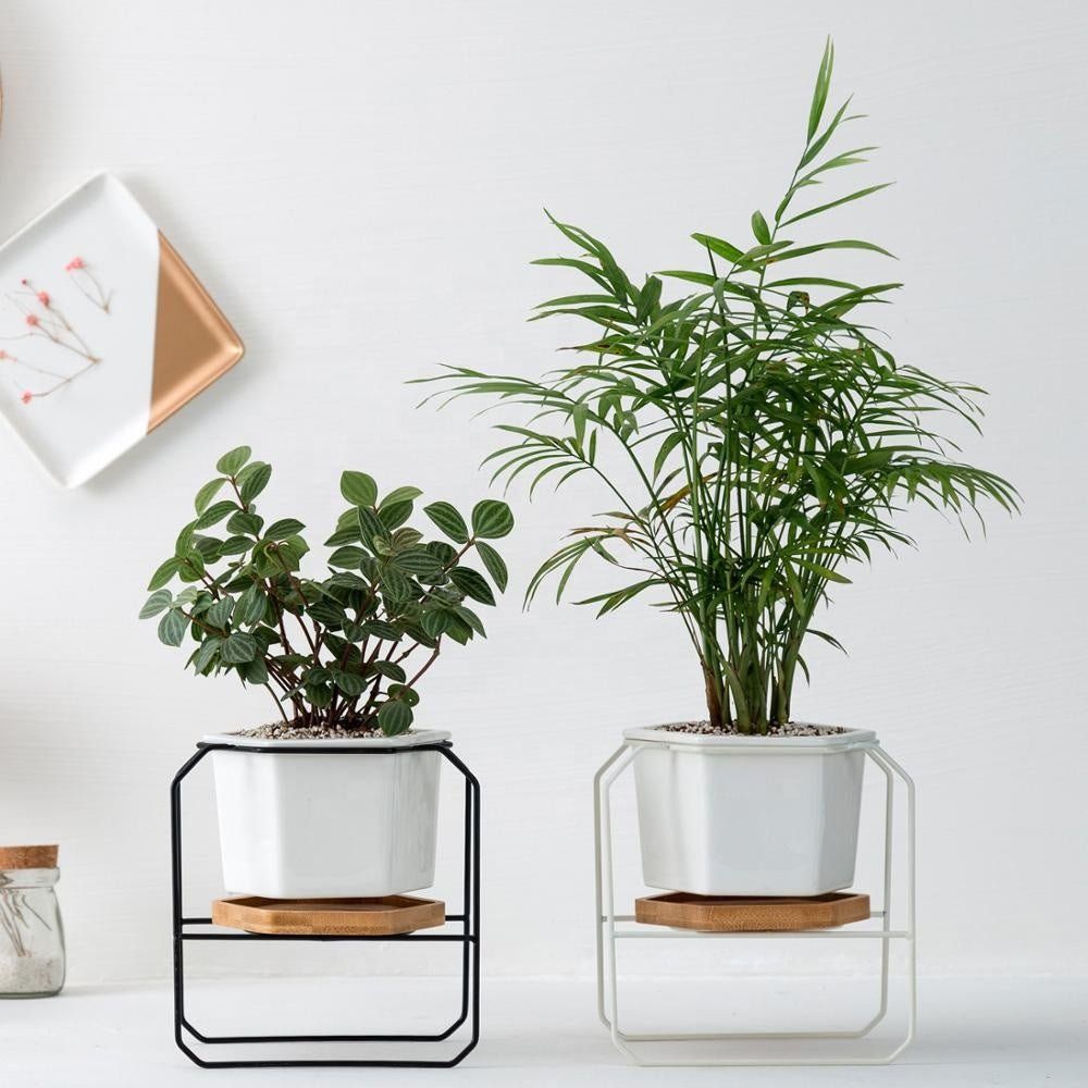 Hexagon porcelain desk pot with bamboo catch and Iron stand