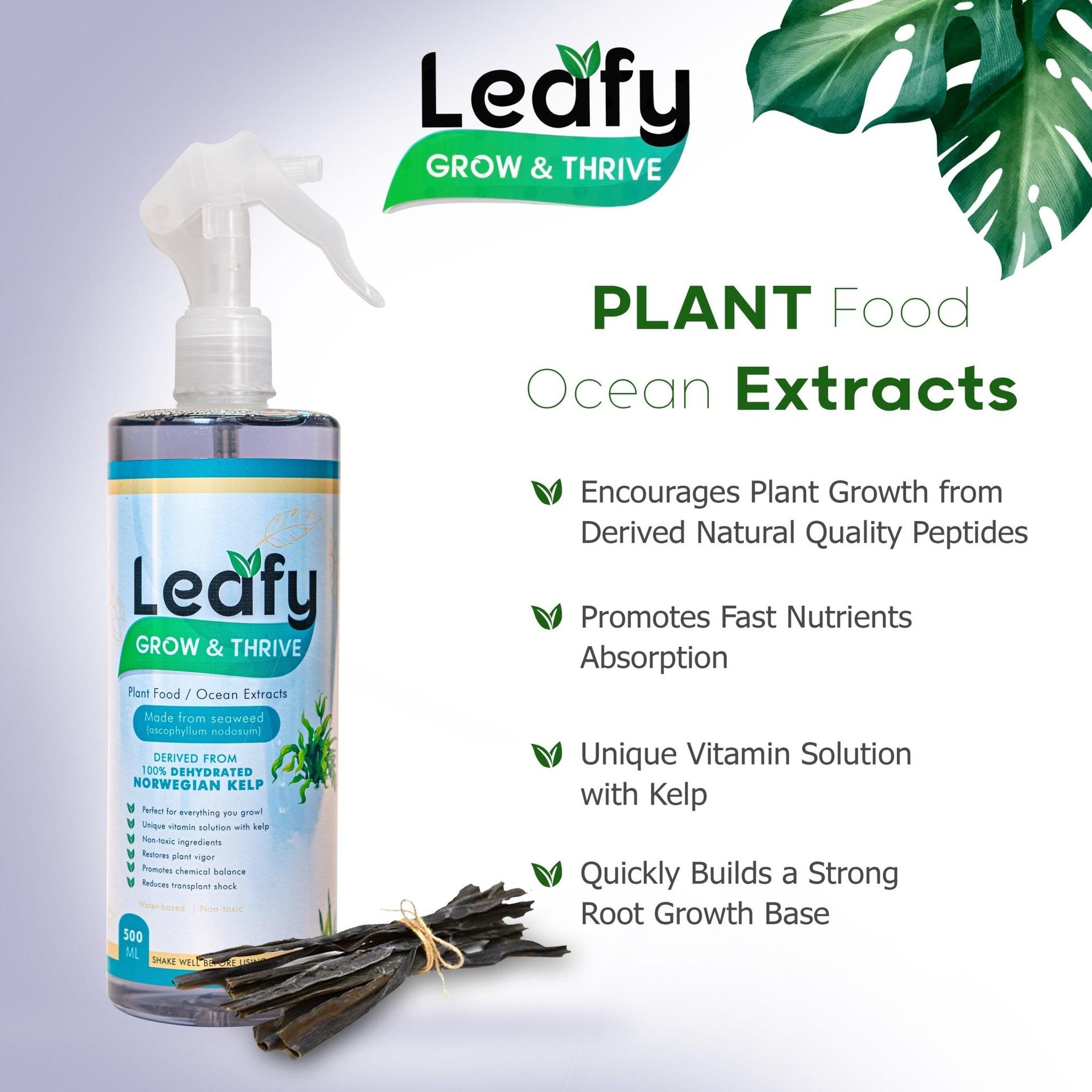 Leafy Grow and Thrive
