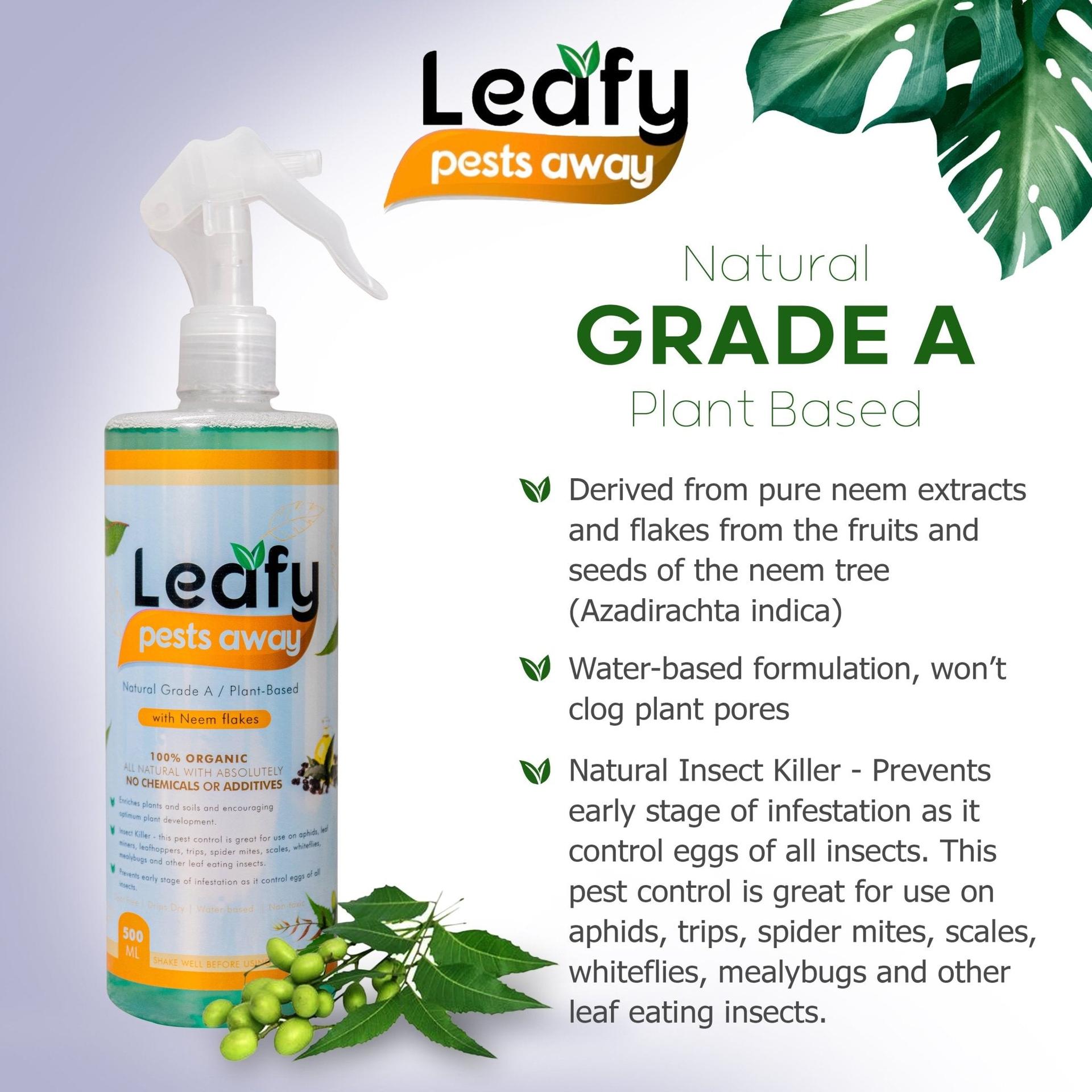 Leafy Pest Away