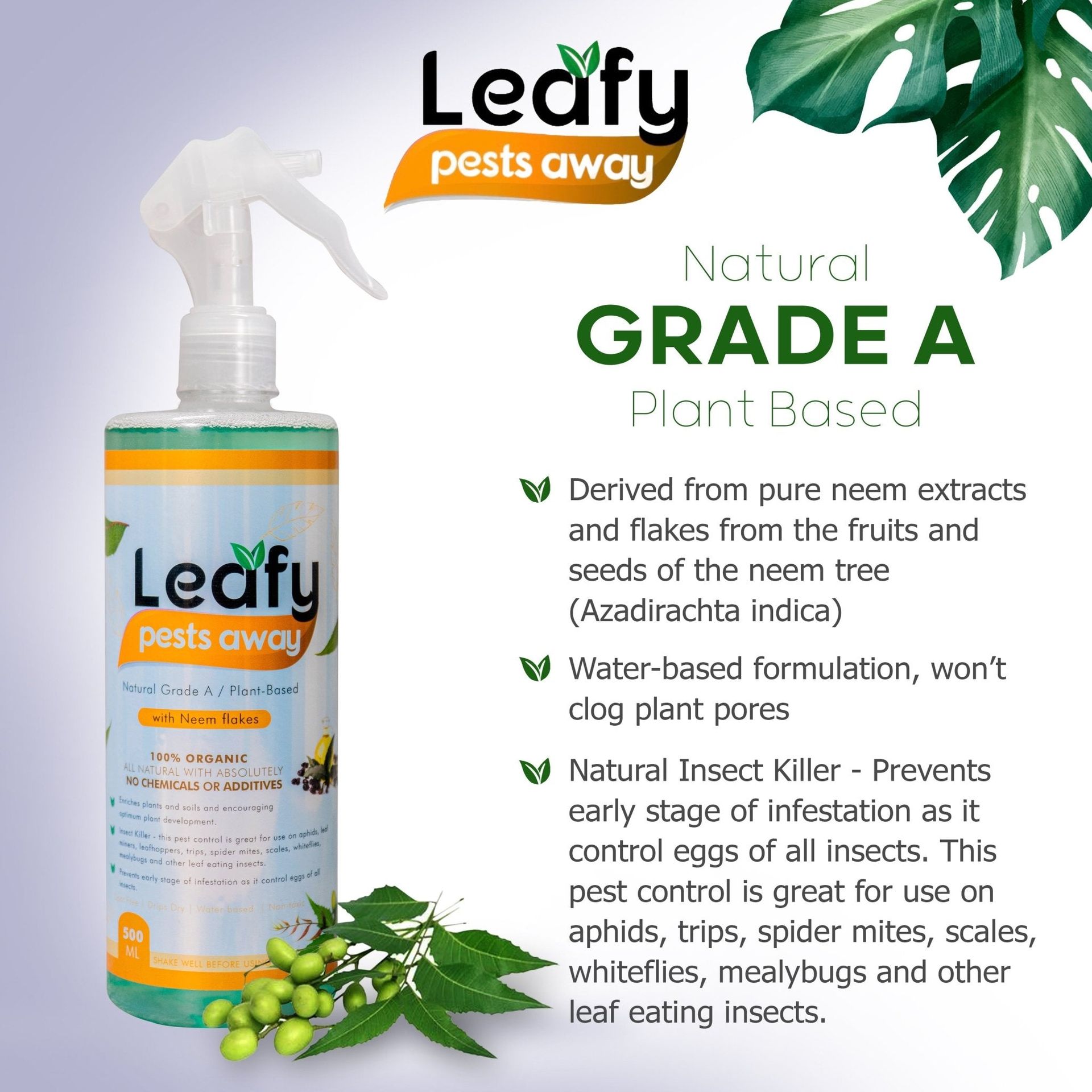 Leafy Pest Away