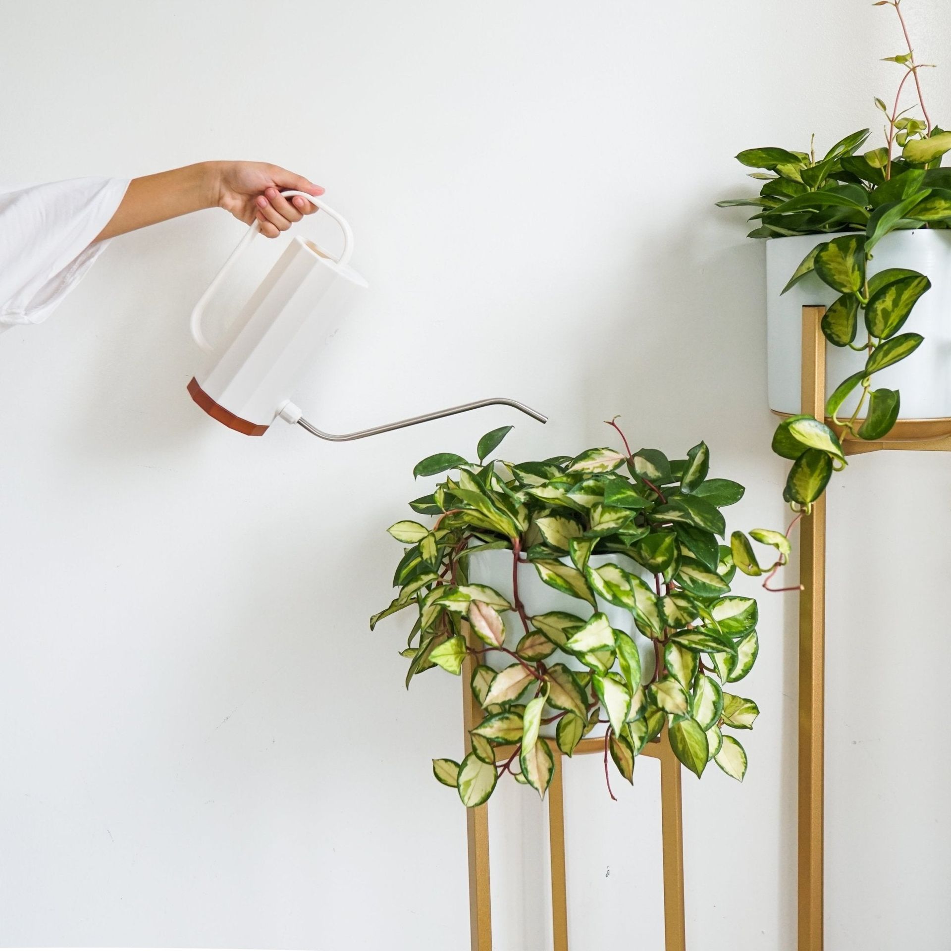 1.2L Long Spout Plastic Watering Can