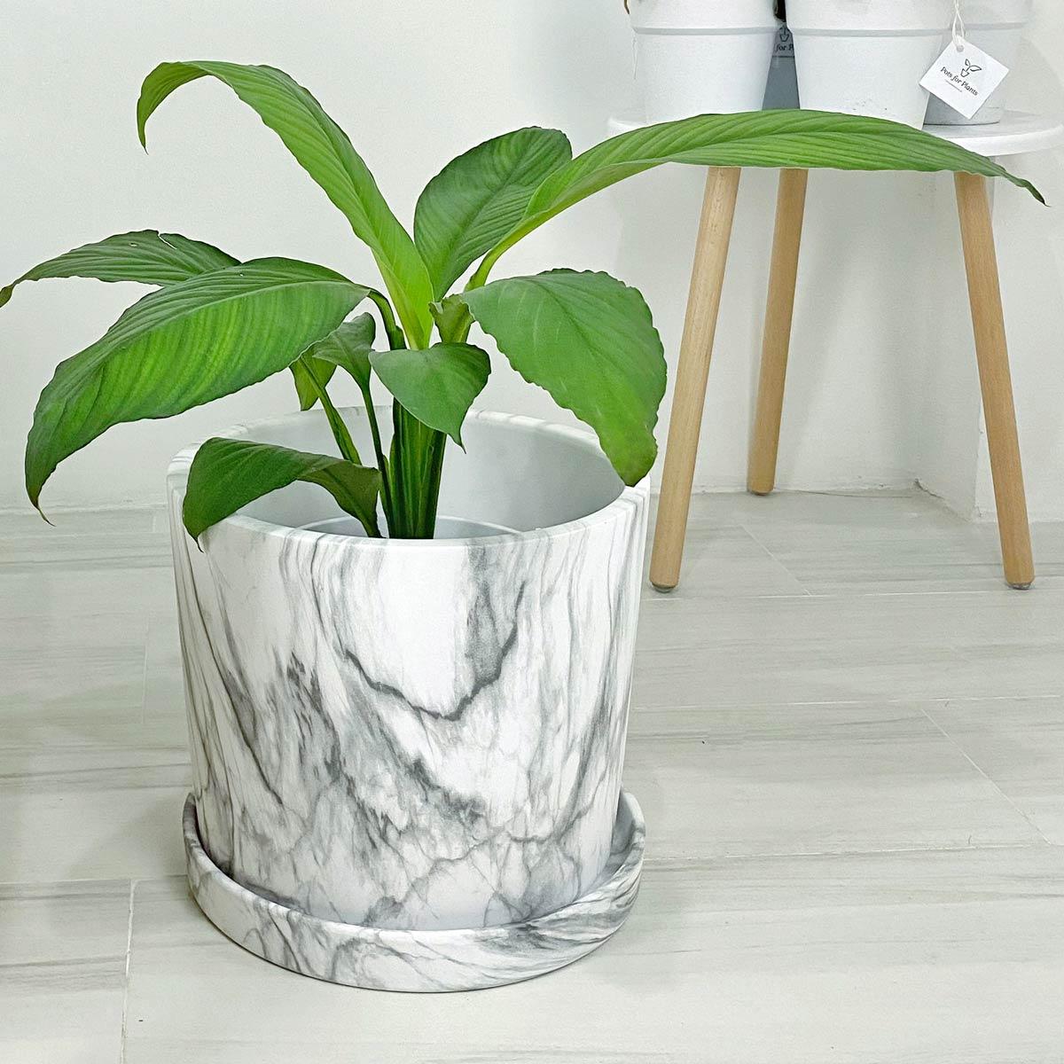 Big Marbled Cylinder Ceramic Floor Planter with Catchplate