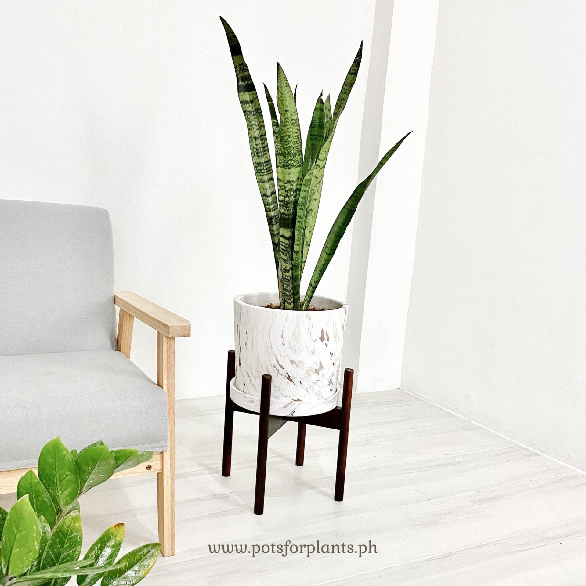 Big Marbled Cylinder Ceramic Floor Planter with Catchplate