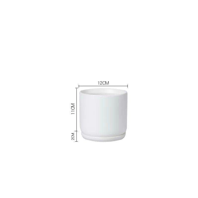 Matte Finish Porcelain CYLINDER Ceramic Pot with Ceramic Saucer
