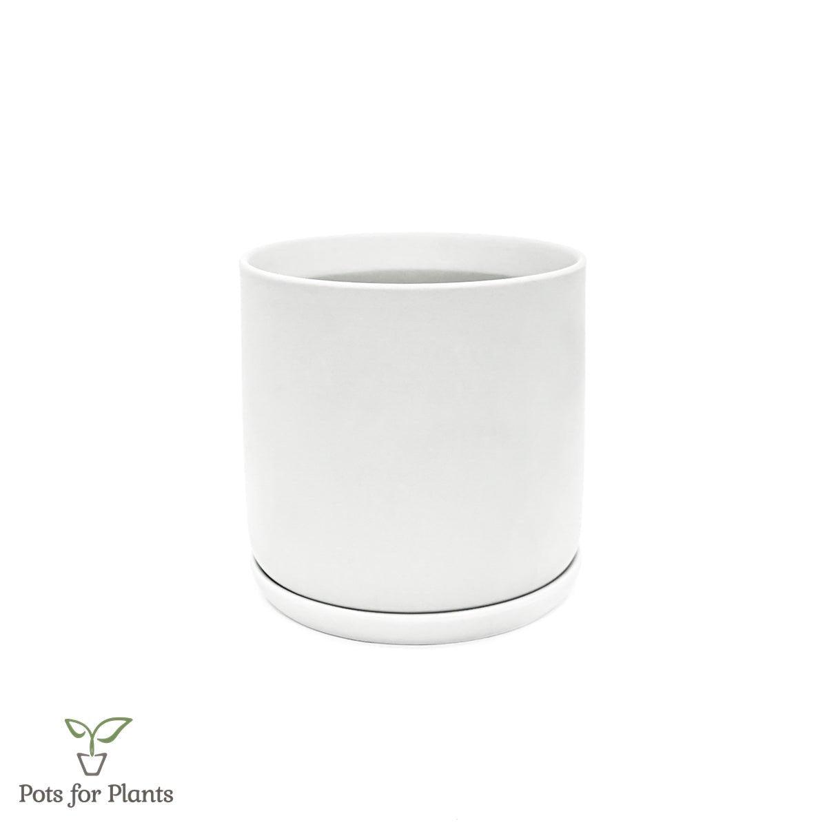 Matte Finish Porcelain CYLINDER Ceramic Pot with Ceramic Saucer