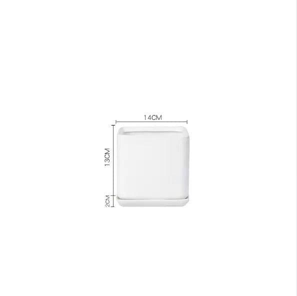 Matte Finish Porcelain CYLINDER Ceramic Pot with Ceramic Saucer