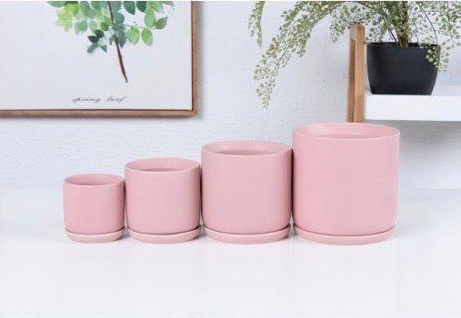 Matte Finish Porcelain CYLINDER Ceramic Pot with Ceramic Saucer