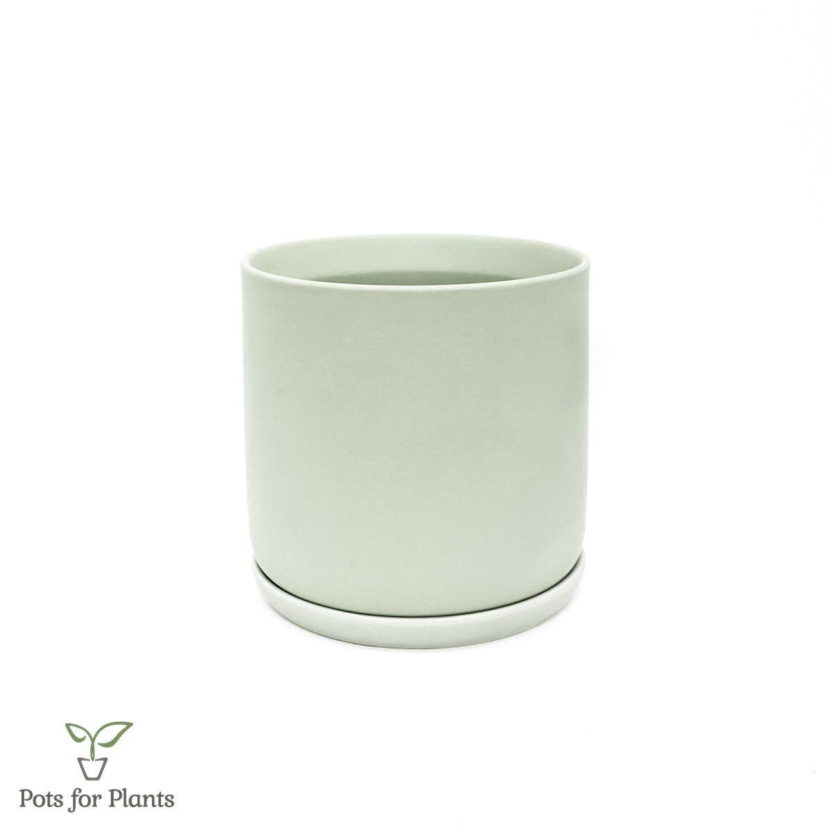 Matte Finish Porcelain CYLINDER Ceramic Pot with Ceramic Saucer