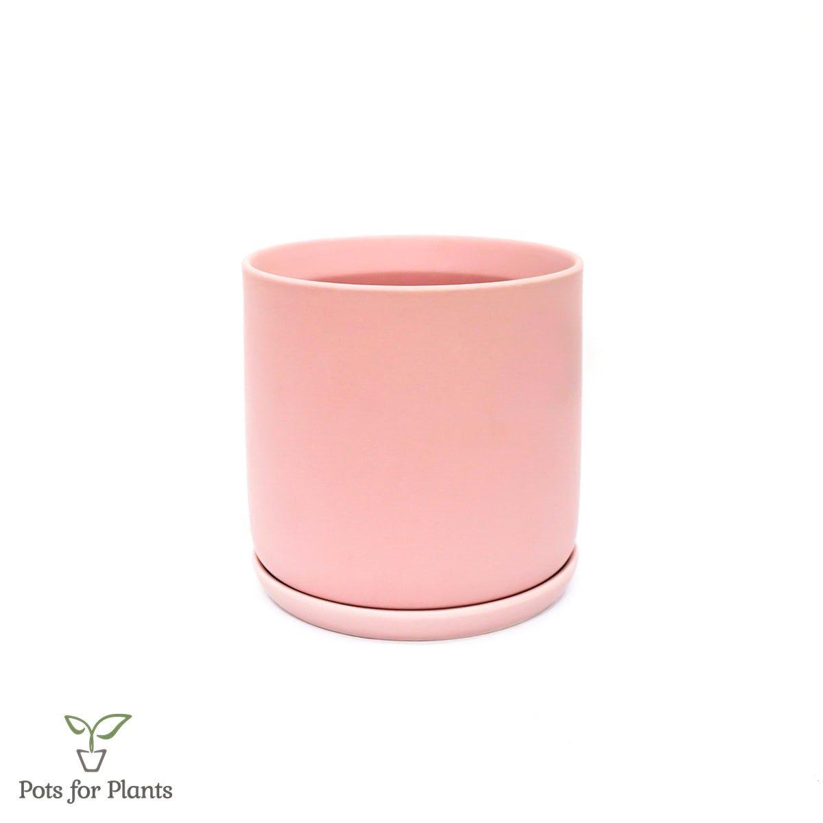Matte Finish Porcelain CYLINDER Ceramic Pot with Ceramic Saucer