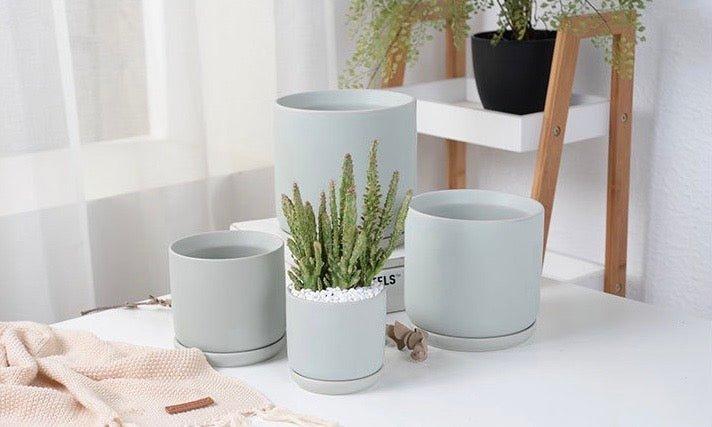 Matte Finish Porcelain CYLINDER Ceramic Pot with Ceramic Saucer