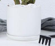 Matte Finish Porcelain CYLINDER Ceramic Pot with Ceramic Saucer