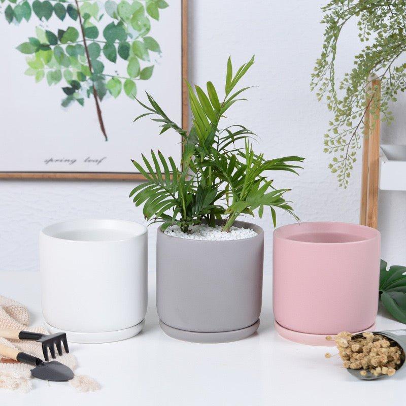Matte Finish Porcelain CYLINDER Ceramic Pot with Ceramic Saucer