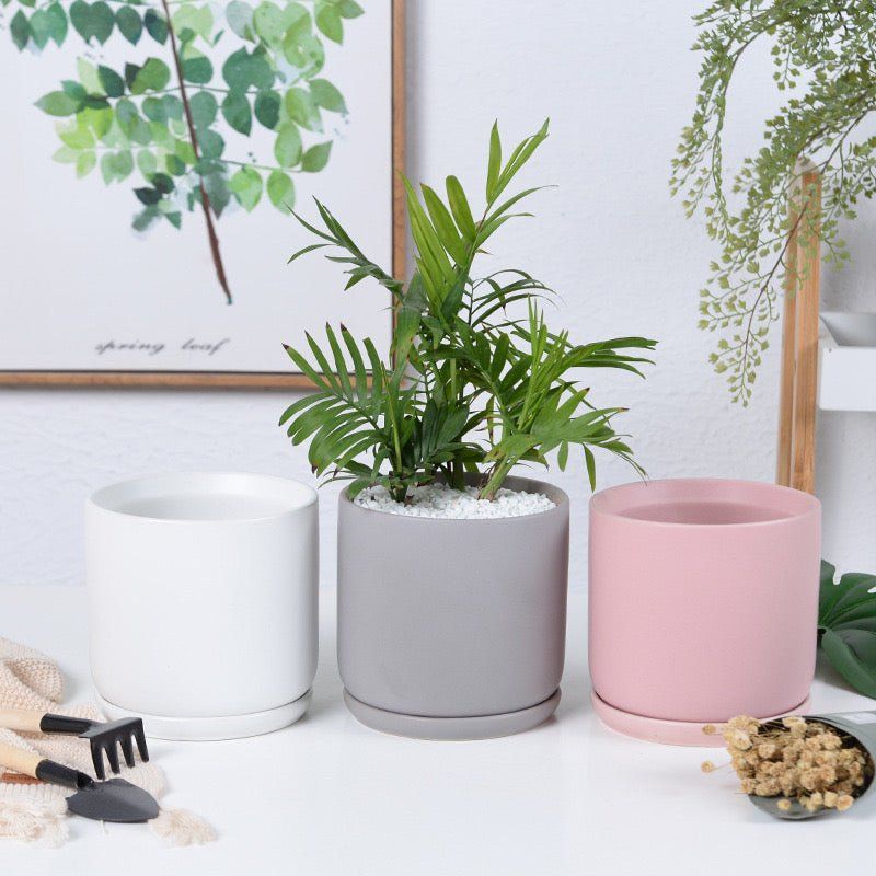 Matte Finish Porcelain CYLINDER Ceramic Pot with Ceramic Saucer