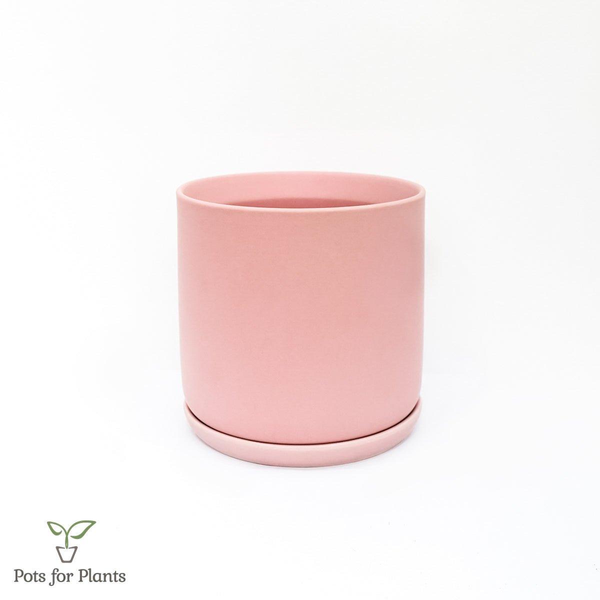 Matte Finish Porcelain CYLINDER Ceramic Pot with Ceramic Saucer