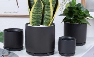 Matte Finish Porcelain CYLINDER Ceramic Pot with Ceramic Saucer