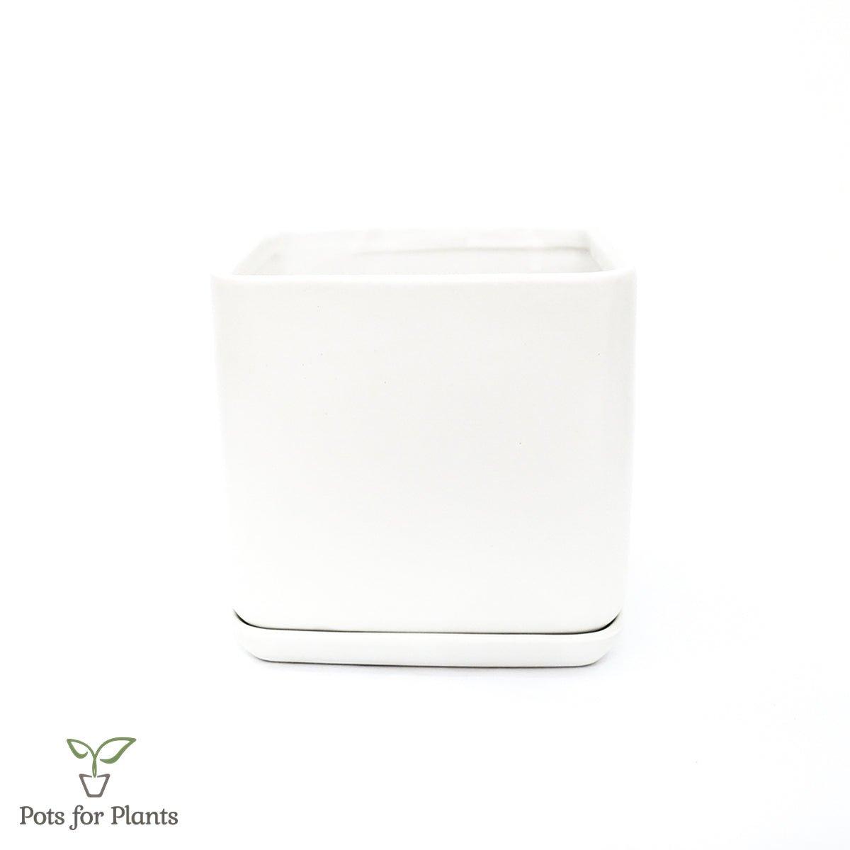 Matte Finish Porcelain SQUARE Ceramic Pot with Ceramic Saucer