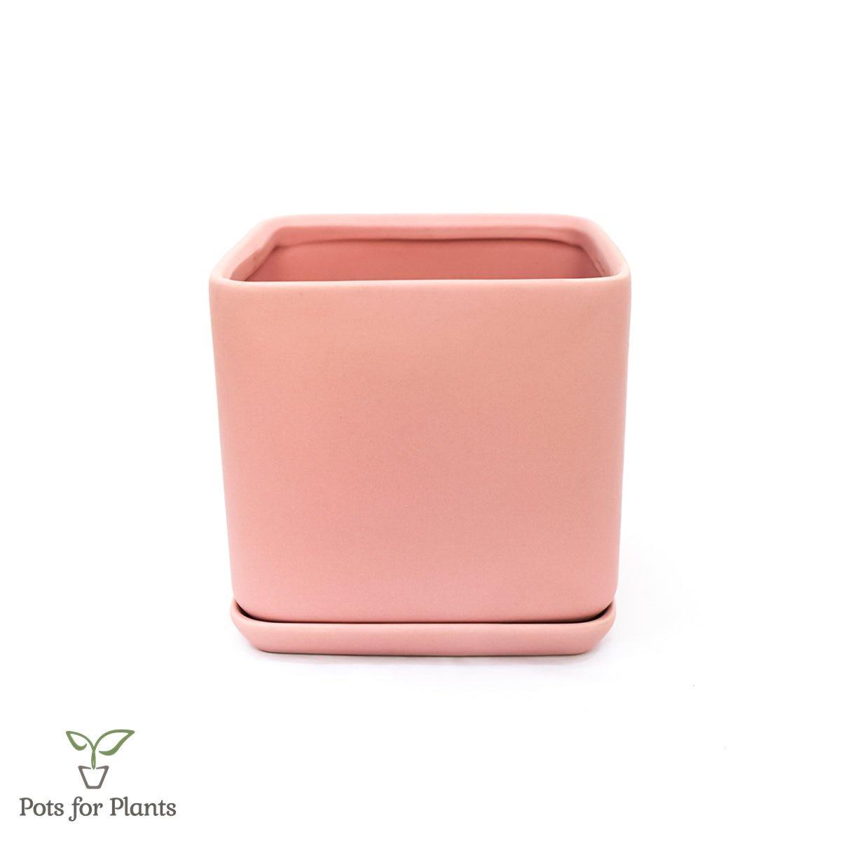 Matte Finish Porcelain SQUARE Ceramic Pot with Ceramic Saucer