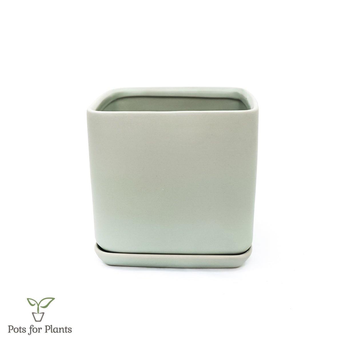 Matte Finish Porcelain SQUARE Ceramic Pot with Ceramic Saucer