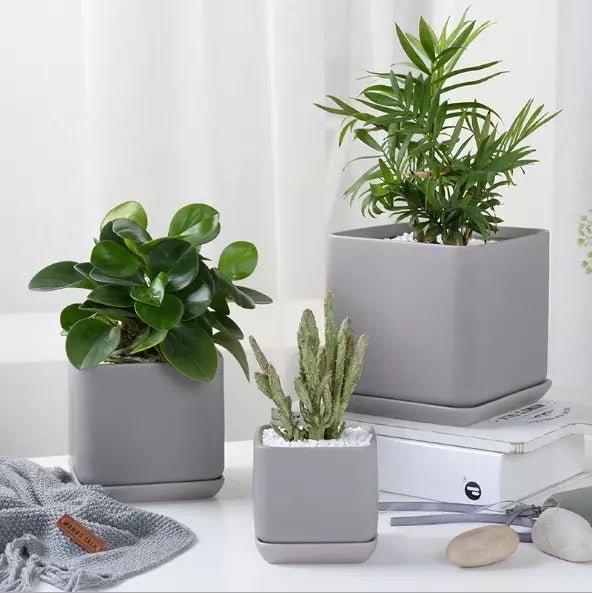 Matte Finish Porcelain SQUARE Ceramic Pot with Ceramic Saucer