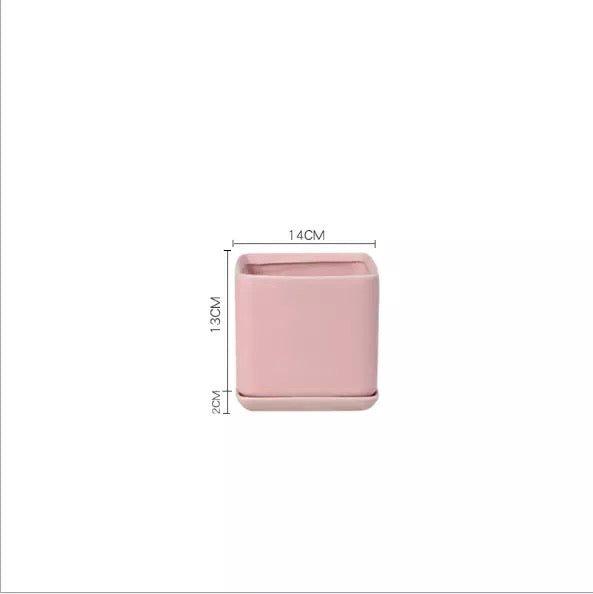 Matte Finish Porcelain SQUARE Ceramic Pot with Ceramic Saucer