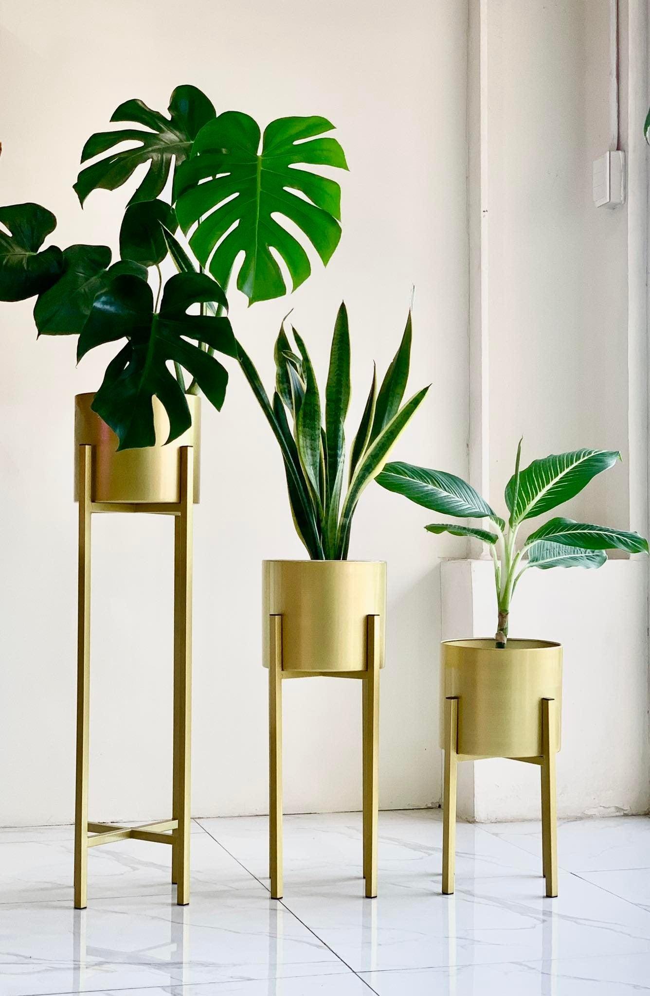 FAYE Mid Century Iron Planter with Four Legged Stand