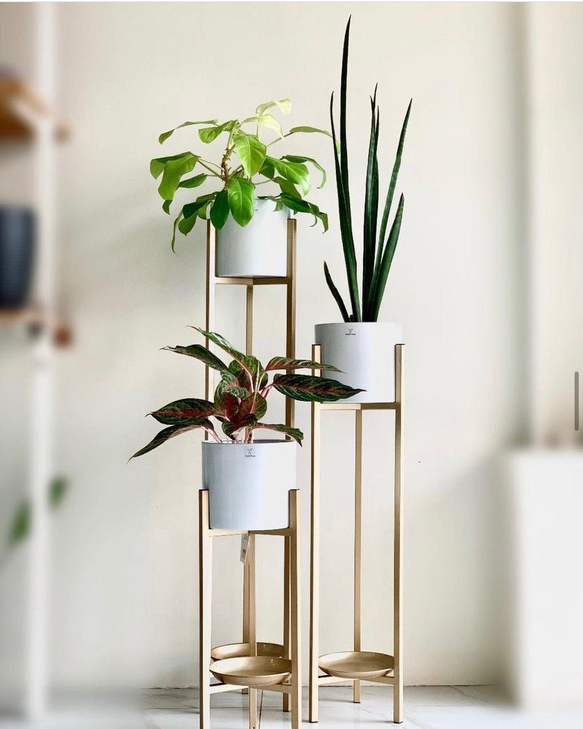 Mid Century Iron Planter with Stand