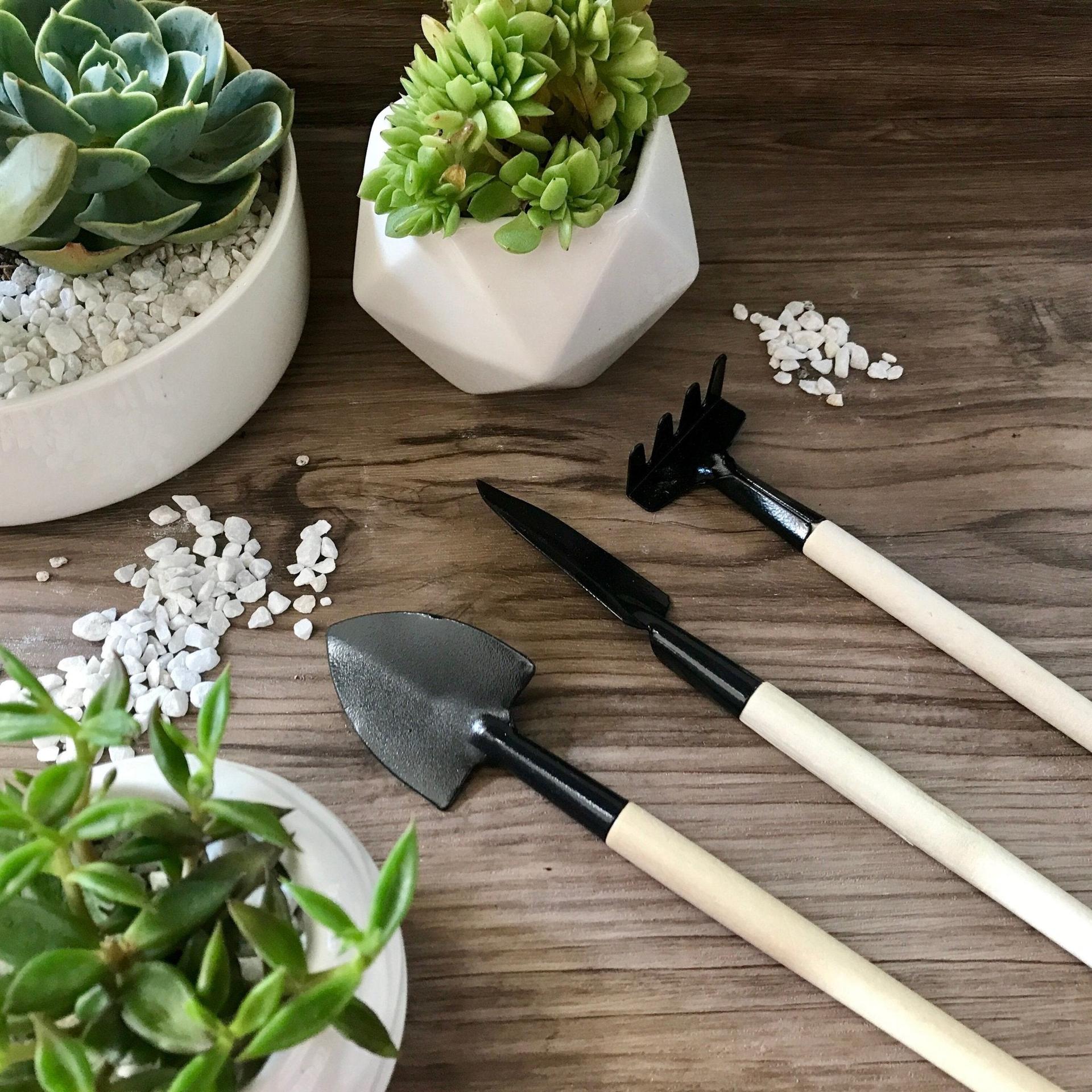 Mini Shovel Set