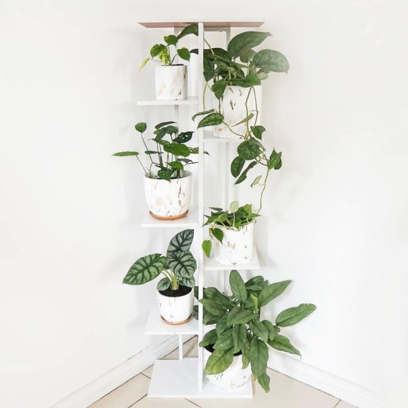 7 Tier Modern Iron Plant Rack