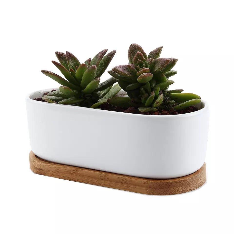 Oblong White Porcelain Dish Pot