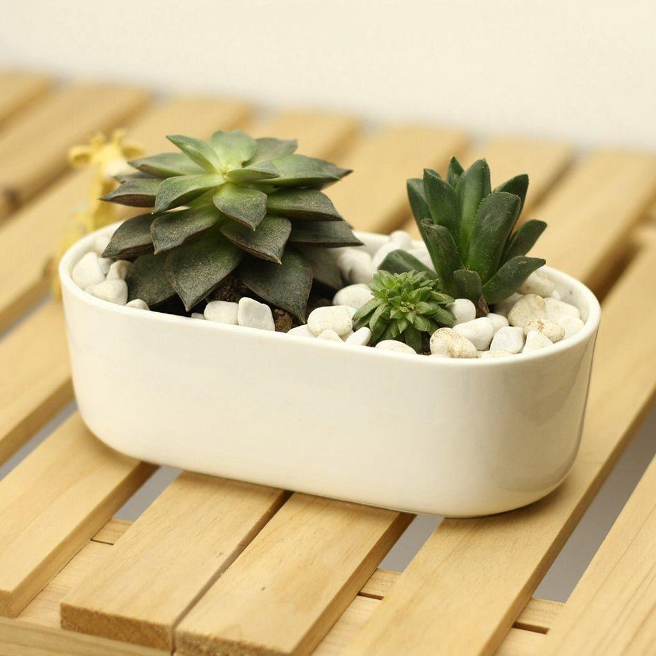 Oblong White Porcelain Dish Pot