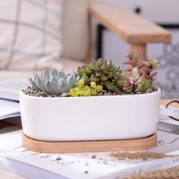 Oblong White Porcelain Dish Pot