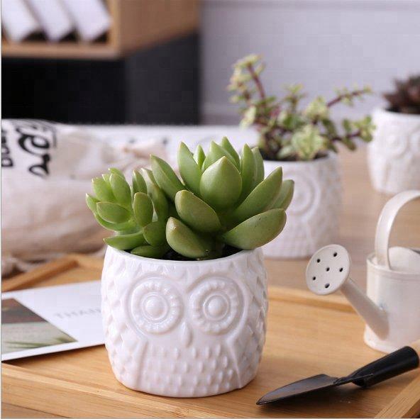 Owl Textured White Porcelain Pot with Bamboo Saucer