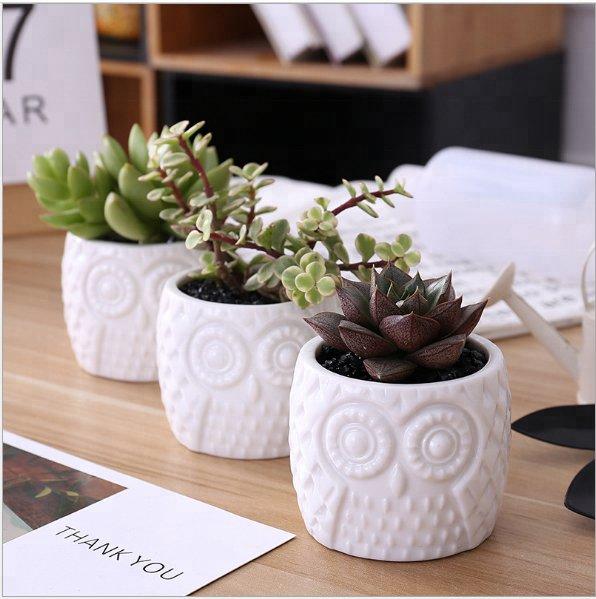 Owl Textured White Porcelain Pot with Bamboo Saucer