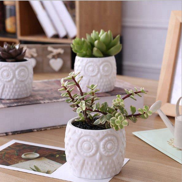 Owl Textured White Porcelain Pot with Bamboo Saucer