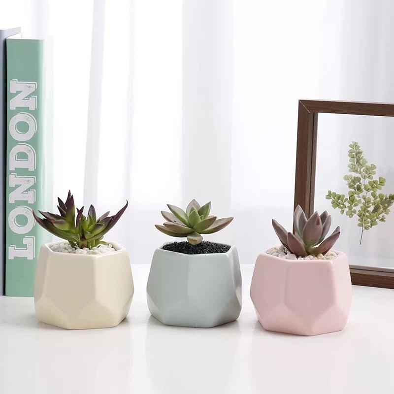 Hexagon Mouth Porcelain Succulent Pot with Catchplate