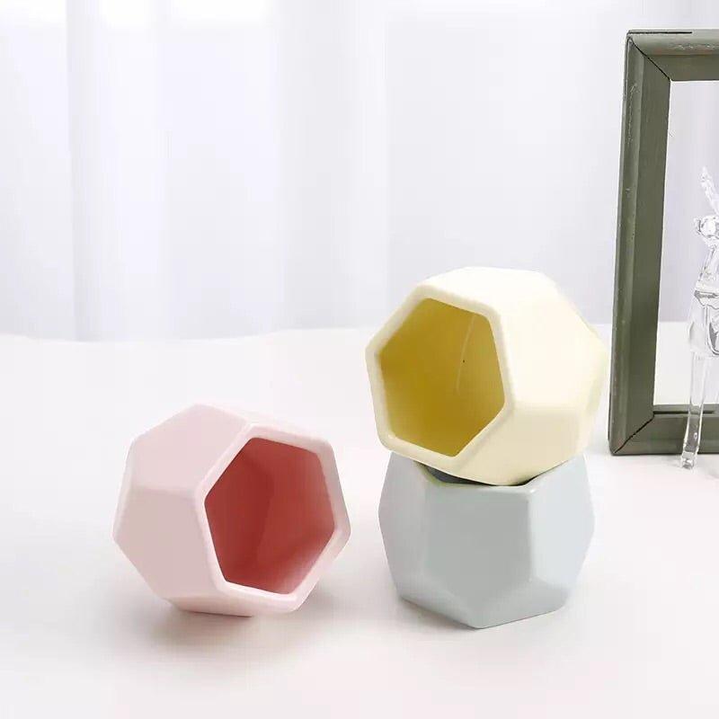 Hexagon Mouth Porcelain Succulent Pot with Catchplate