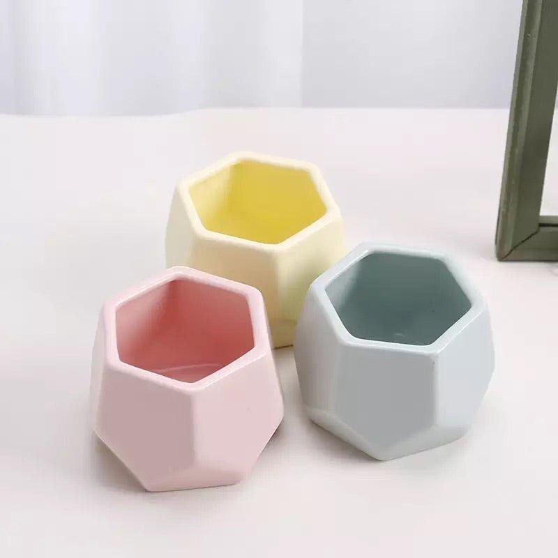 Hexagon Mouth Porcelain Succulent Pot with Catchplate