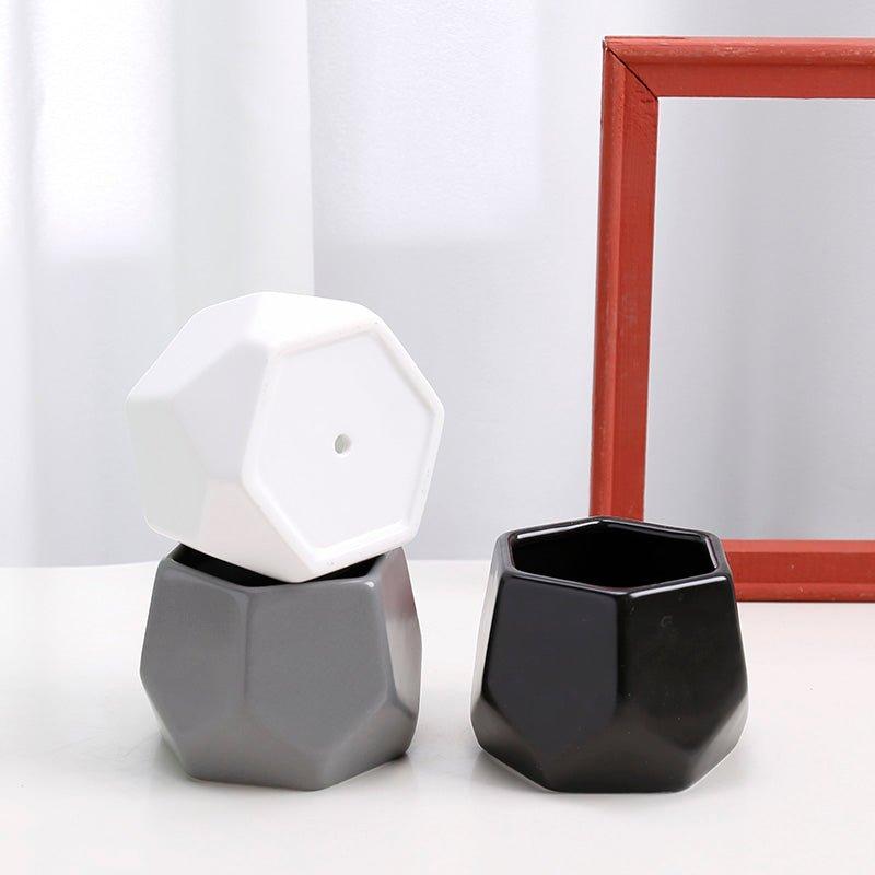 Hexagon Mouth Porcelain Succulent Pot with Catchplate