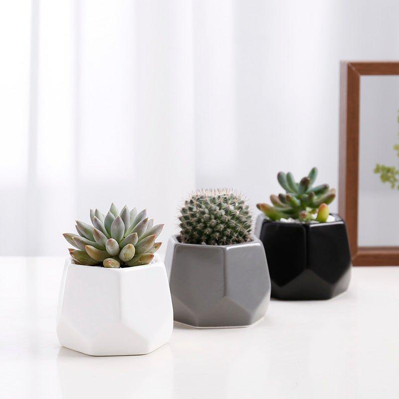 Hexagon Mouth Porcelain Succulent Pot with Catchplate