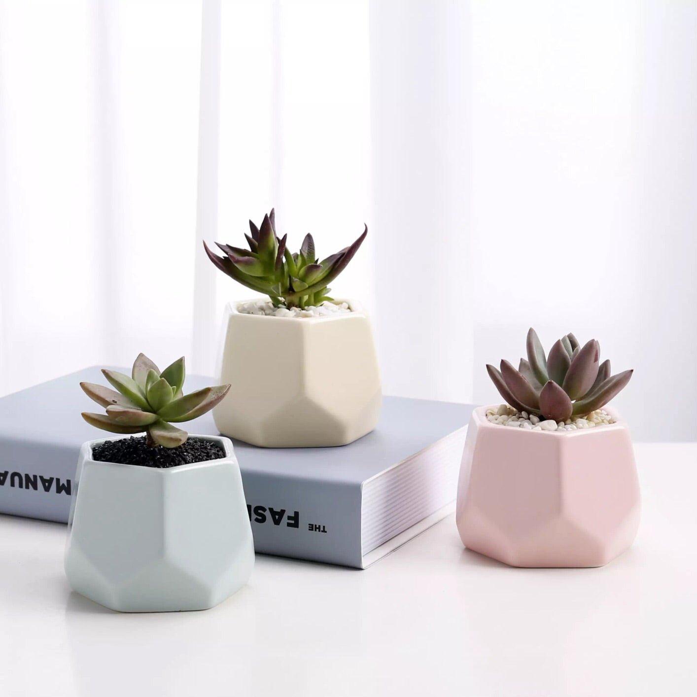 Hexagon Mouth Porcelain Succulent Pot with Catchplate