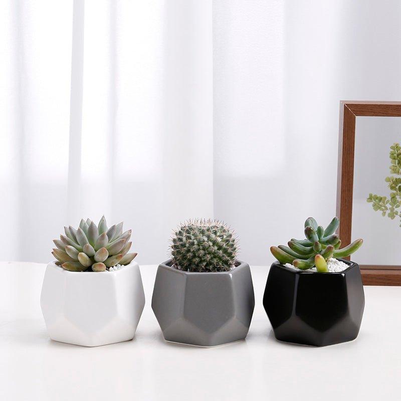 Hexagon Mouth Porcelain Succulent Pot with Catchplate