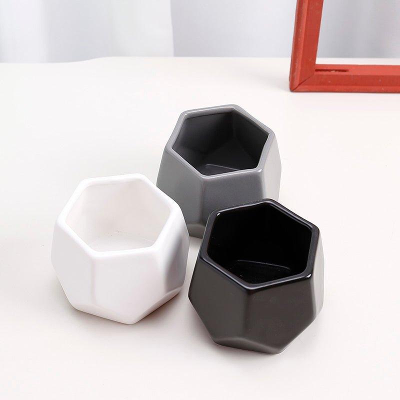 Hexagon Mouth Porcelain Succulent Pot with Catchplate