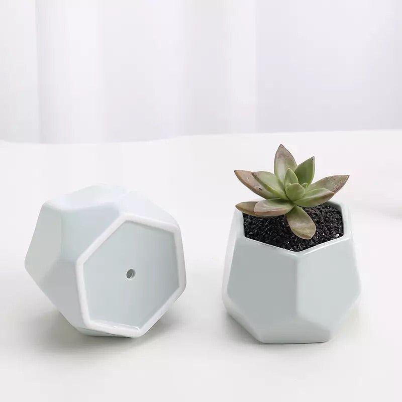 Hexagon Mouth Porcelain Succulent Pot with Catchplate