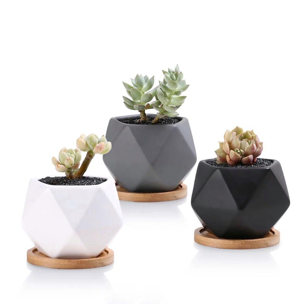 Pentagon Mouth Porcelain Succulent Pot (Set of Three)