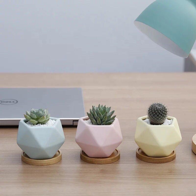 Pentagon Mouth Porcelain Succulent Pot (Set of Three)